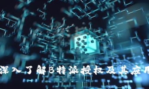 深入了解B特派授权及其应用