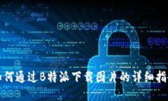 如何通过B特派下载图片的详细指南