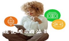 如何有效使用B特派钱包联网功能？