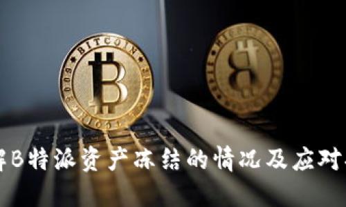 了解B特派资产冻结的情况及应对措施