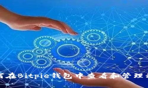 如何在Bitpie钱包中查看和管理私钥