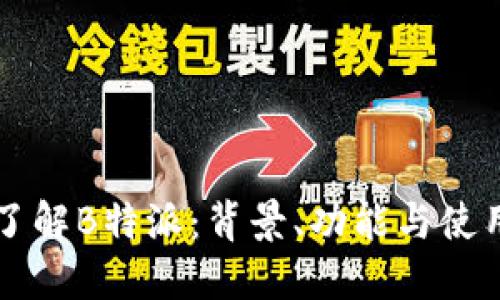 深入了解B特派：背景、功能与使用指南
