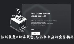 如何恢复B特派钱包：忘记私钥后的完整指南
