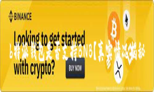 b特派钱包是否支持BNB？真实情况揭秘