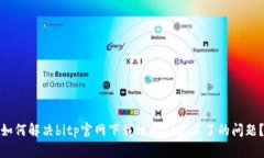 如何解决bitp官网下载链接安装不了的问题？