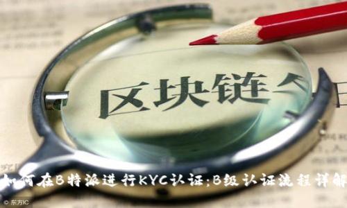 如何在B特派进行KYC认证：B级认证流程详解