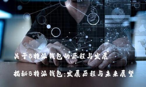 关于B特派钱包的历程与发展

揭秘B特派钱包：发展历程与未来展望