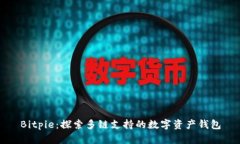 Bitpie：探索多链支持的数字资产钱包