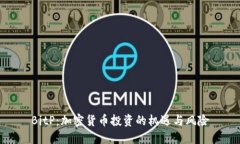 BitP：加密货币投资的机遇与风险