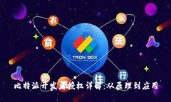 比特派开发者授权详解：从原理到应用