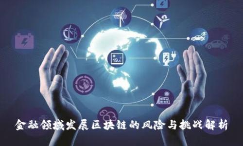 金融领域发展区块链的风险与挑战解析