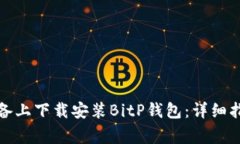 如何在安卓设备上下载安装BitP钱包：详细指南与