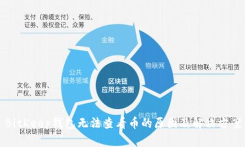 BitKeep钱包无法查看币的原因及解决方案