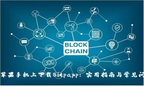 如何在苹果手机上下载Bitpapp: 实用指南与常见问题解答