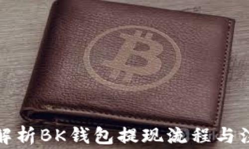 
全方位解析BK钱包提现流程与注意事项