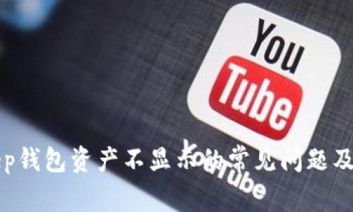 解决Bitkeep钱包资产不显示的常见问题及其详细解析