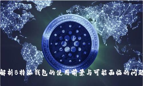 解析B特派钱包的使用前景与可能面临的问题