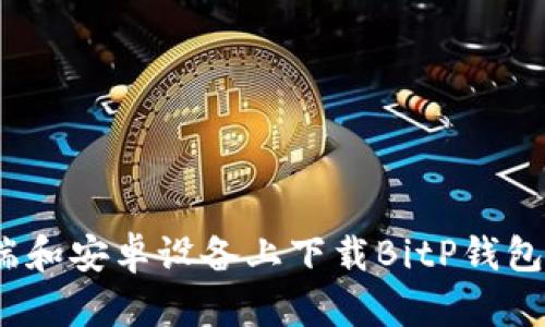 如何在iOS端和安卓设备上下载BitP钱包的官方网站