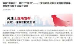 如何有效投资比特币：BTCP最新动态与市场分析