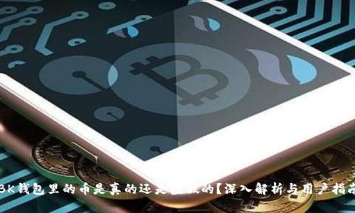 BK钱包里的币是真的还是虚假的？深入解析与用户指南