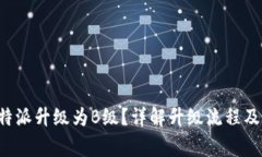如何将B特派升级为B级？详解升级流程及注意事项