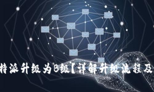 如何将B特派升级为B级？详解升级流程及注意事项
