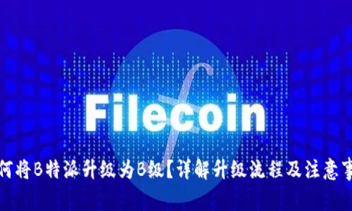 如何将B特派升级为B级？详解升级流程及注意事项