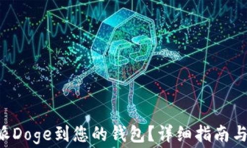 
如何添加B特派Doge到您的钱包？详细指南与常见问题解答