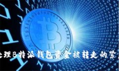 如何处理B特派钱包资金被转走的紧急情况