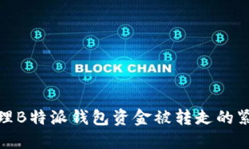 如何处理B特派钱包资金被转走的紧急情况