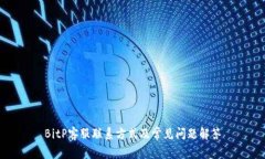 BitP客服联系方式及常见问题解答