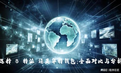 选择 B 特派 还是华特钱包：全面对比与分析