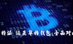 选择 B 特派 还是华特钱包：全面对比与分析