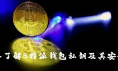 深入了解B特派钱包私钥及其安全性