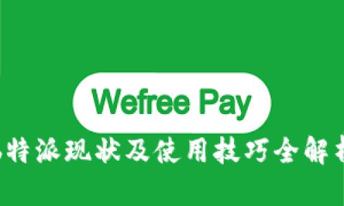 b特派现状及使用技巧全解析