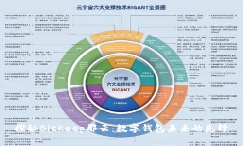 探秘BitKeep鄢云：数字钱包未来的先锋