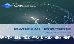 BitP钱包是哪个国家的？全面解析与用户指南