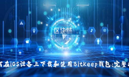 如何在iOS设备上下载和使用BitKeep钱包：完整指南