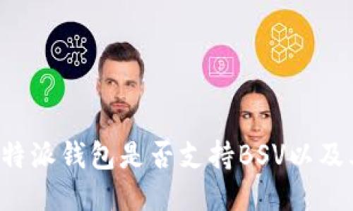 深入探讨B特派钱包是否支持BSV以及其使用策略