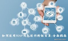 如何使用BitP钱包进行跨链交易：全面指南