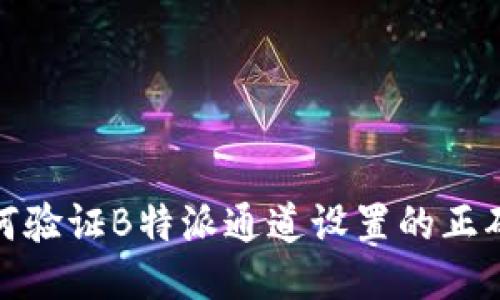 如何验证B特派通道设置的正确性