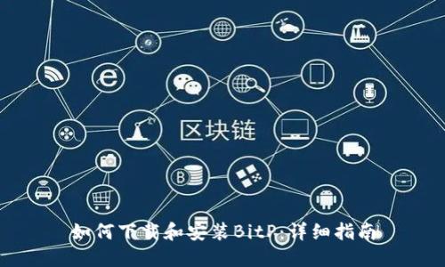 如何下载和安装BitP：详细指南