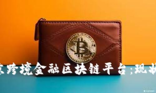 深入探讨北京跨境金融区块链平台：现状、挑战与未来