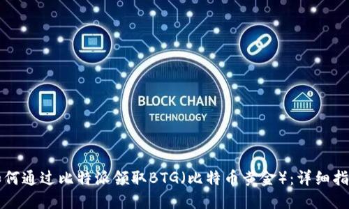 如何通过比特派领取BTG（比特币黄金）：详细指南