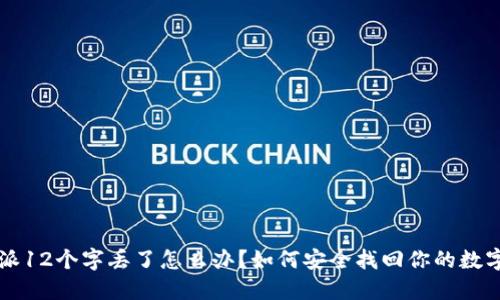 比特派12个字丢了怎么办？如何安全找回你的数字资产
