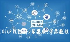 如何下载和安装BitP钱包App苹果版：详尽教程与常