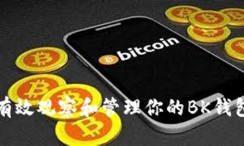 如何有效观察和管理你的BK钱包资产