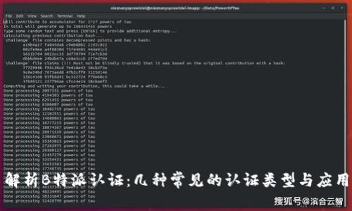 解析B特派认证：几种常见的认证类型与应用