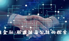 区块链金融：联盟链与公链的探索与价值