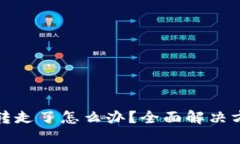 比特派钱包被转走了怎么办？全面解决方案与预